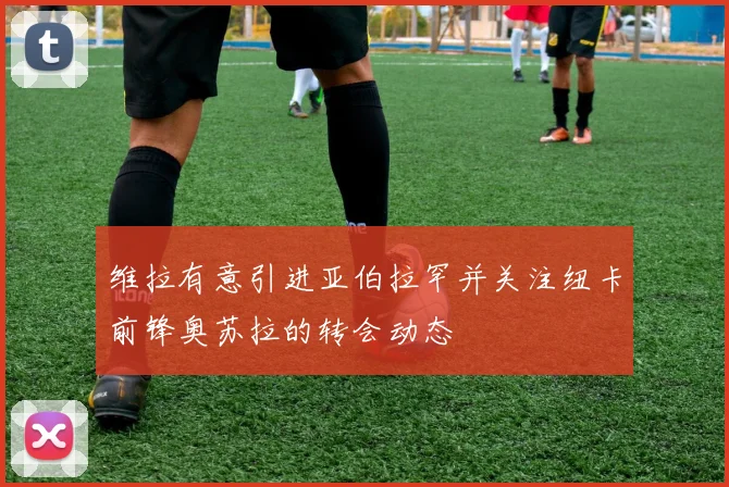 维拉有意引进亚伯拉罕并关注纽卡前锋奥苏拉的转会动态
