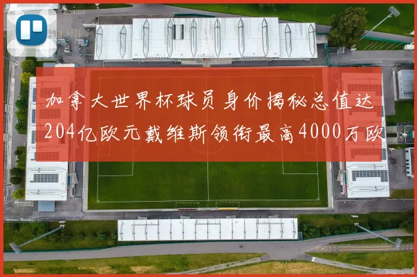 加拿大世界杯球员身价揭秘总值达204亿欧元戴维斯领衔最高4000万欧