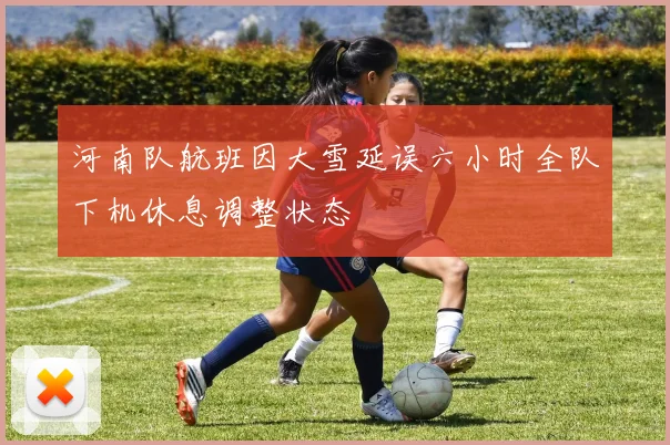河南队航班因大雪延误六小时全队下机休息调整状态